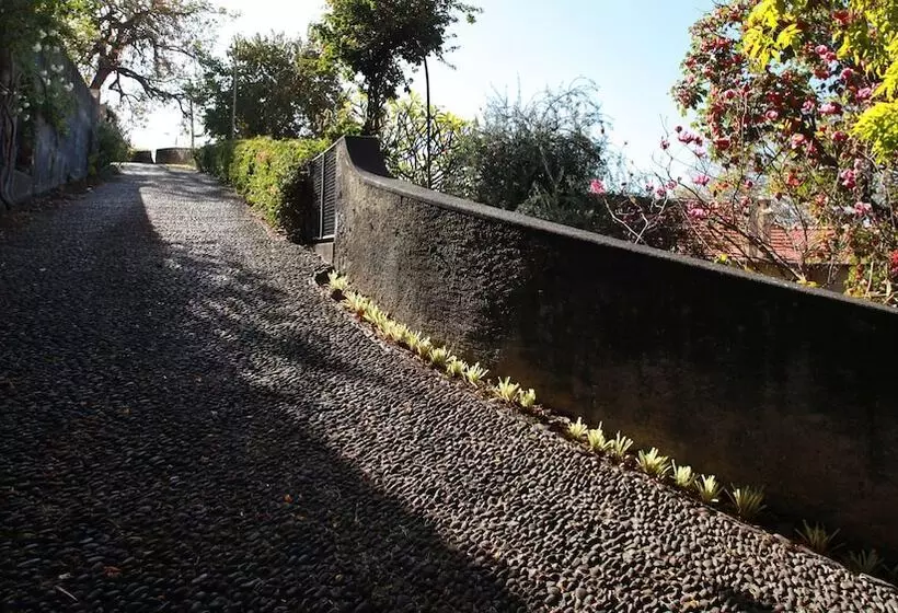 تختخواب و صبحانه Quinta Das Malvas   Quinta De Santa Luzia