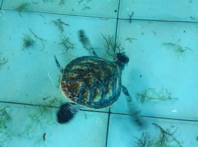 ベッドアンドブレックファースト Wonderland