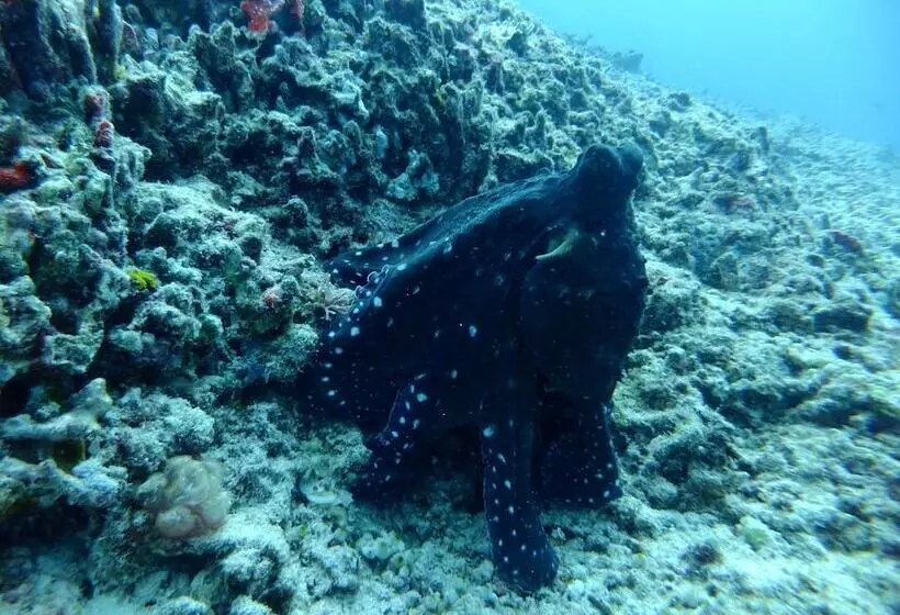 ベッドアンドブレックファースト Wonderland