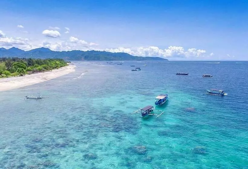 ベッドアンドブレックファースト Wonderland