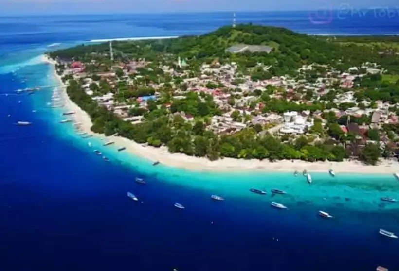 ベッドアンドブレックファースト Wonderland