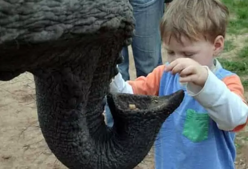 Majatalo Elephant Country Guest House