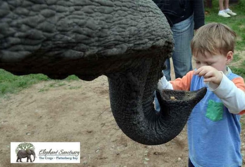 بنسيون Elephant Country Guest House