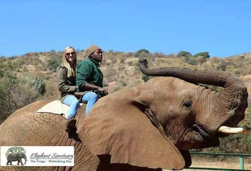 Majatalo Elephant Country Guest House