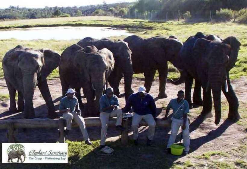 بنسيون Elephant Country Guest House