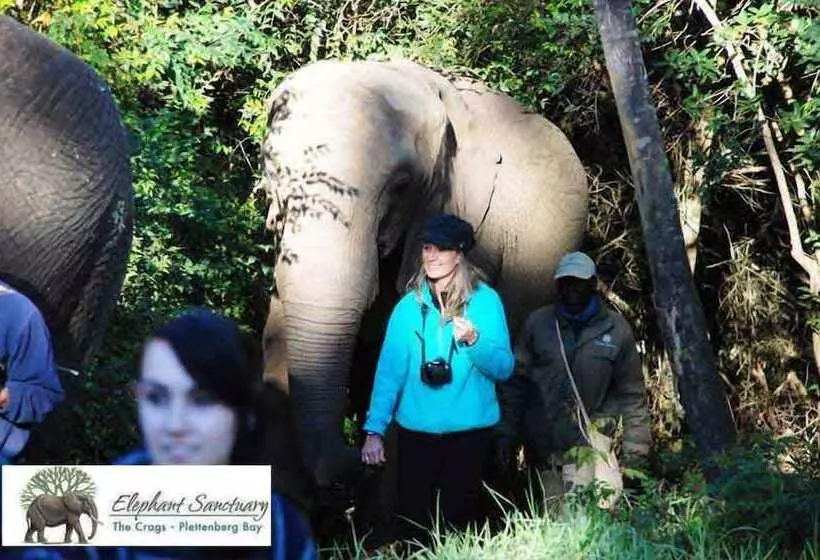 Majatalo Elephant Country Guest House