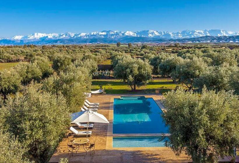 بنسيون Villa Kristy