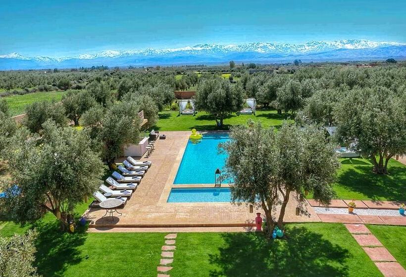 بنسيون Villa Kristy