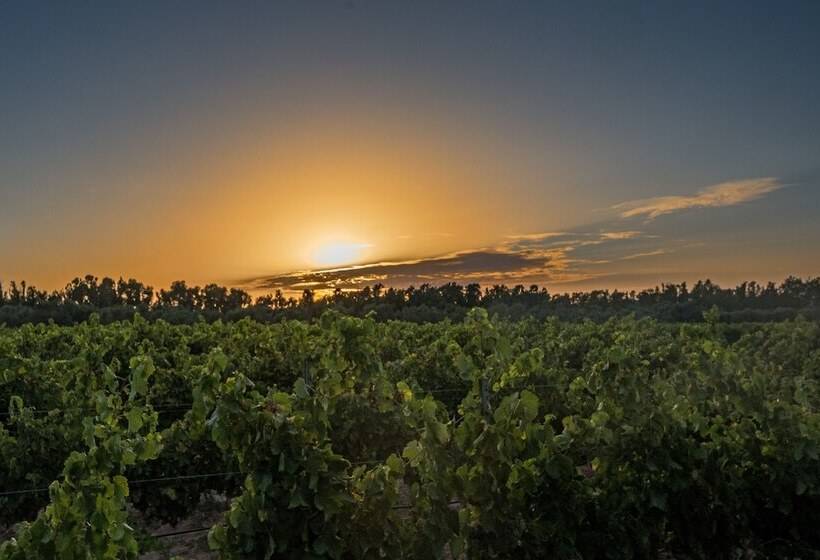 فندق ريفى Agriturismo Casale Degli Ulivi Alghero