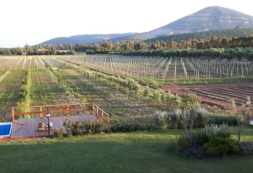 فندق ريفى Agriturismo Casale Degli Ulivi Alghero