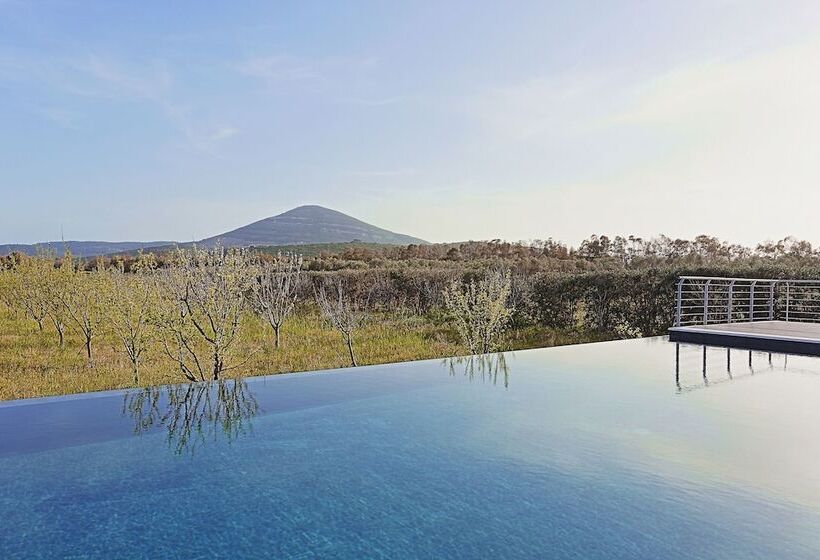 فندق ريفى Agriturismo Casale Degli Ulivi Alghero