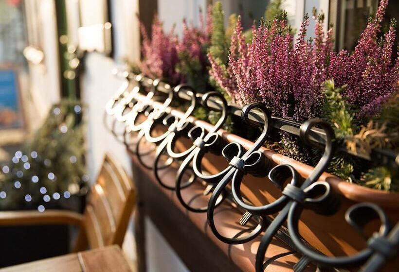 Dom Wakacyjny Mistral