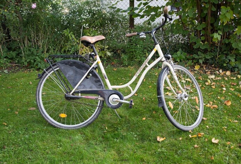 פנסיון Haus Apportin