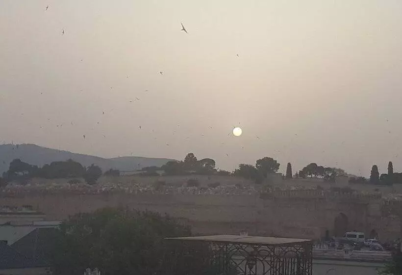 ریاض Dar Nour Fes