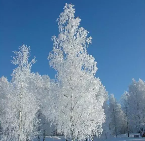 Hapimag Ferienwohnungen Punkaharju