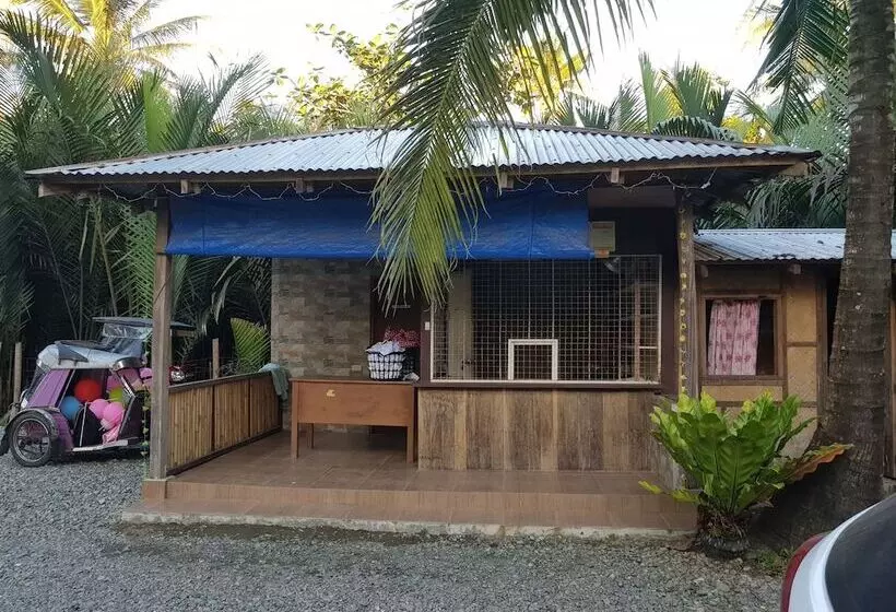 هتل Pleasant Valley Guesthouse   Baler
