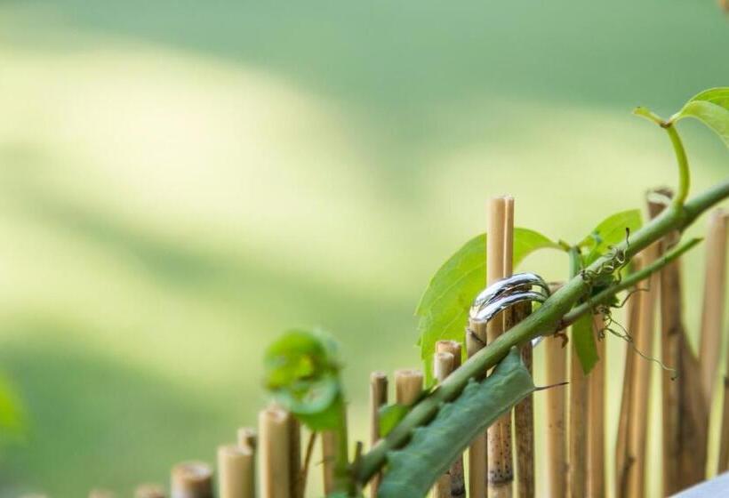 فندق Eco Beach And Magic Garden