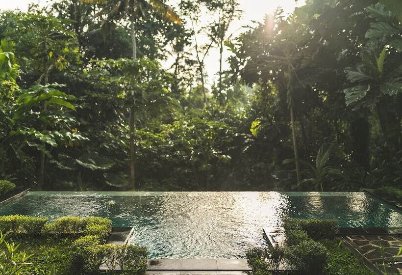 Luxury A Priori Ubud