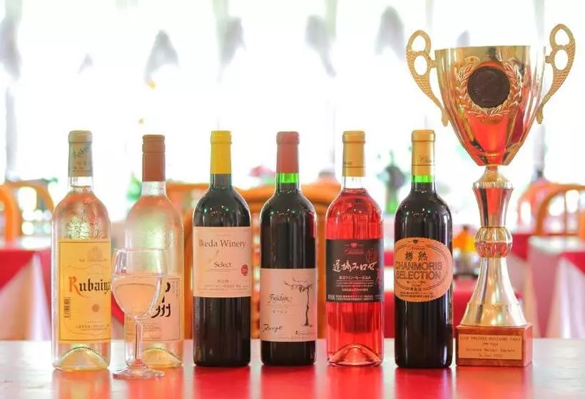 Mt Fuji B&b Pension Le Lagon