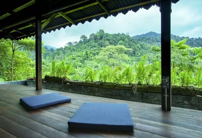 The Dusun