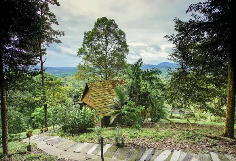 The Dusun