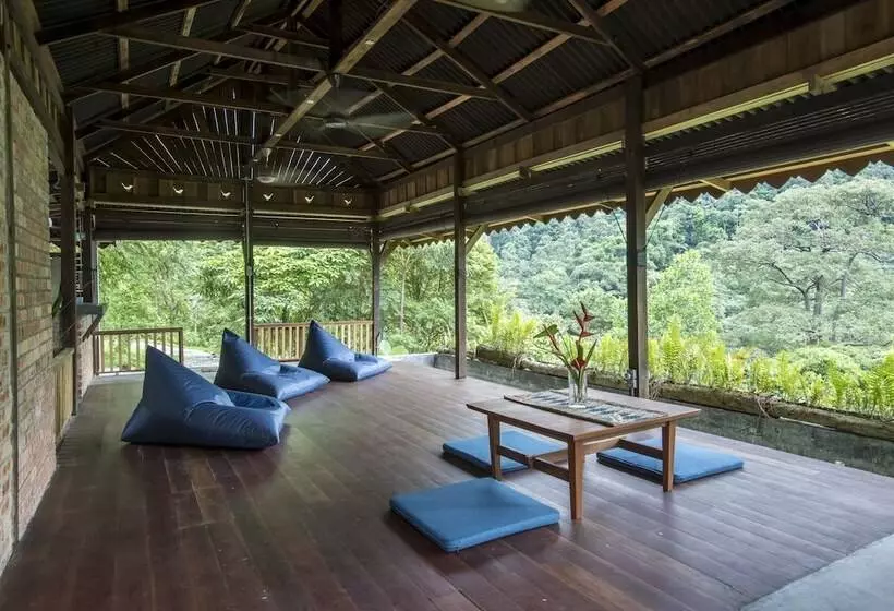 The Dusun