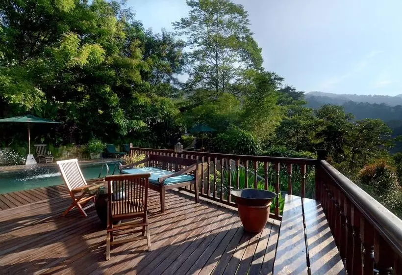 The Dusun