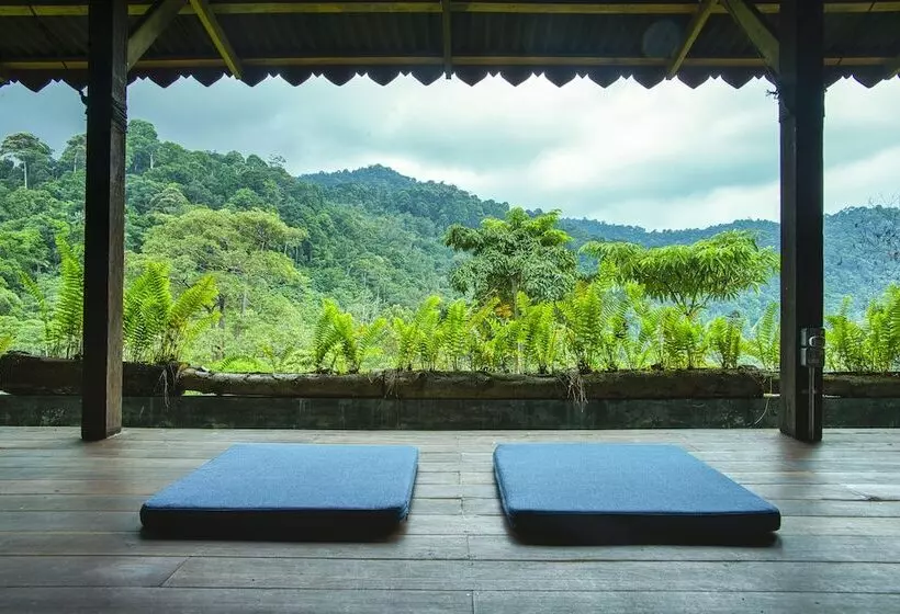 The Dusun