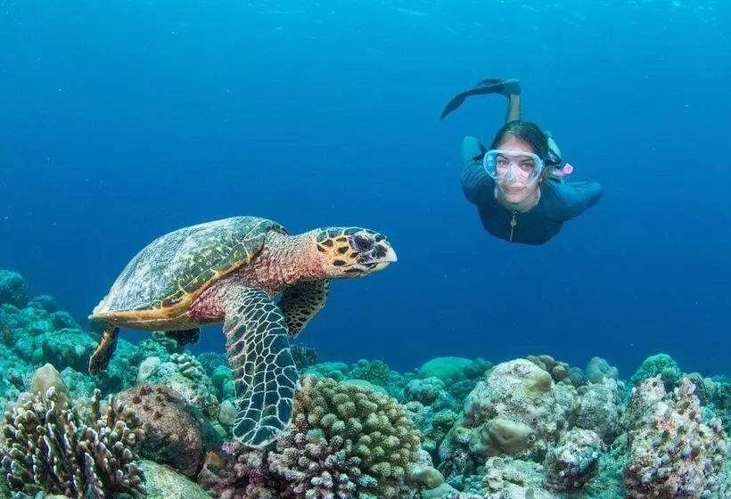 Hotelli Intercontinental Maldives Maamunagau Resort With Club Benefits  Ihg