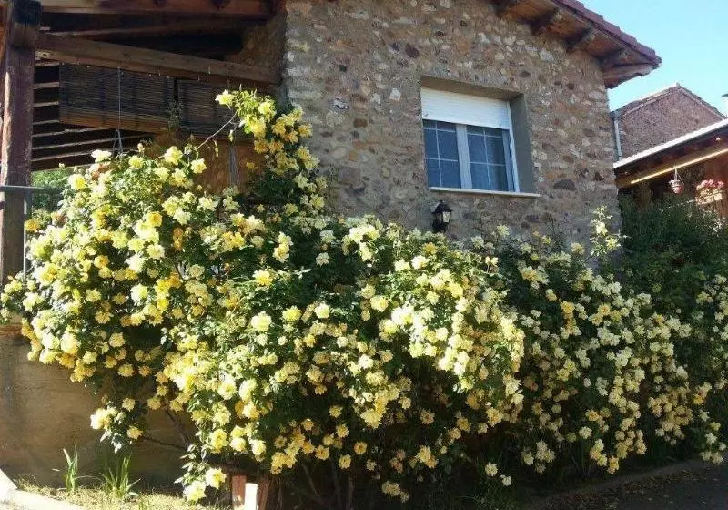 El Rincón De La Rosa