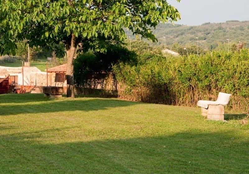 El Rincón De La Rosa