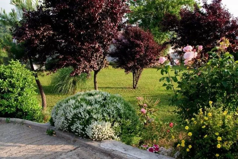 El Rincón De La Rosa