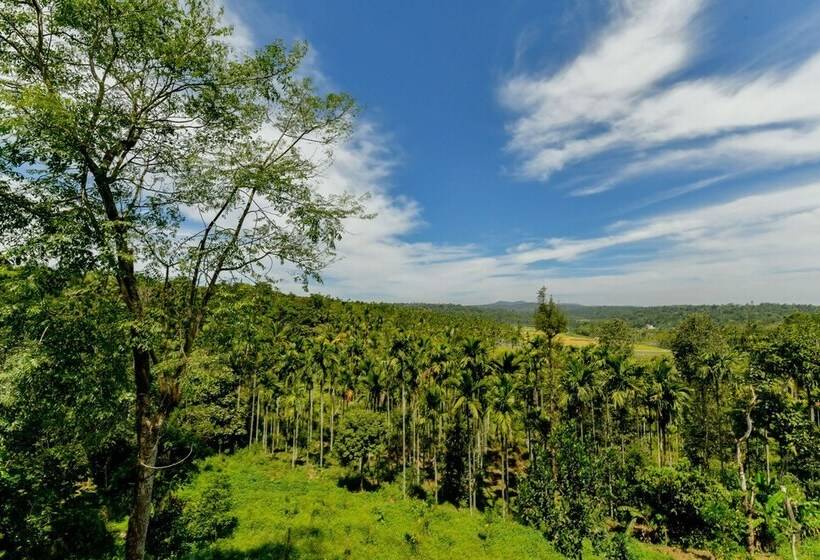 Oyo Home 24016 Serene Stay