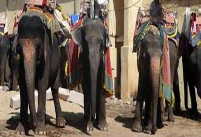 پانسیون Mother Homestay