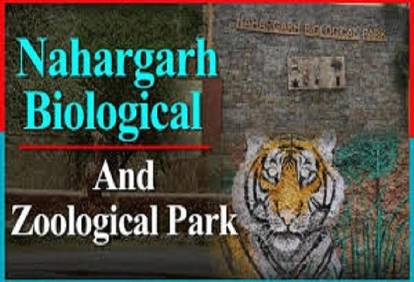 پانسیون Mother Homestay