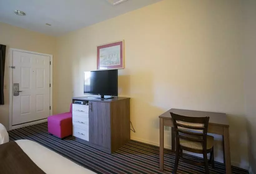 酒店 Beachview Inn