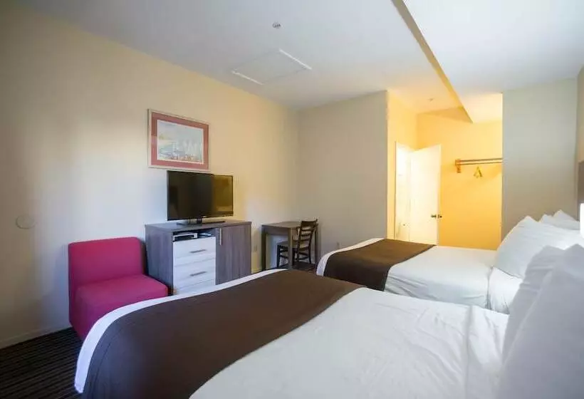 酒店 Beachview Inn