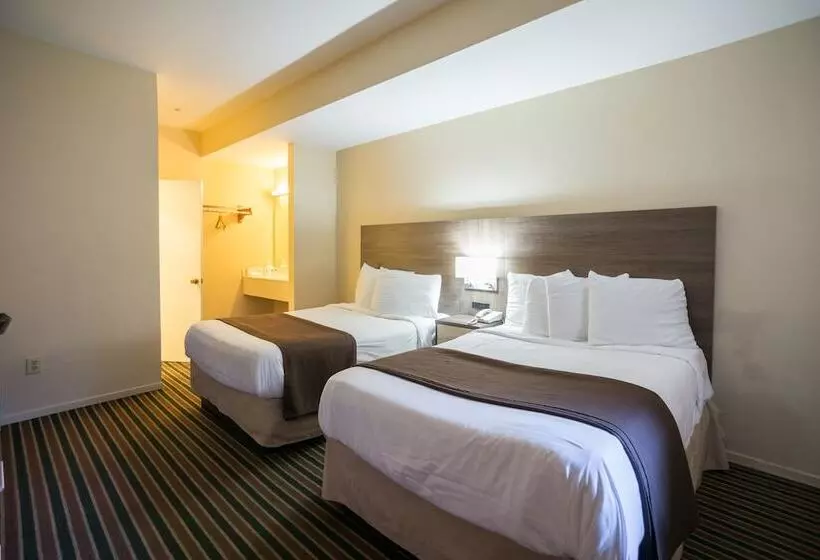 酒店 Beachview Inn