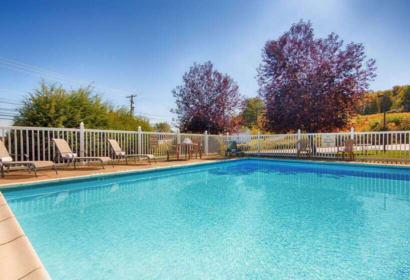 酒店 Best Western Plus Executive Inn