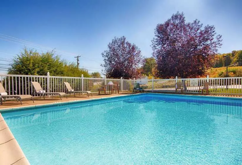 Отель Best Western Plus Executive Inn