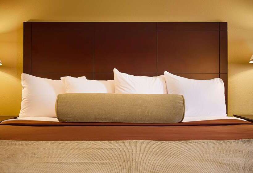 酒店 Best Western Plus Executive Inn