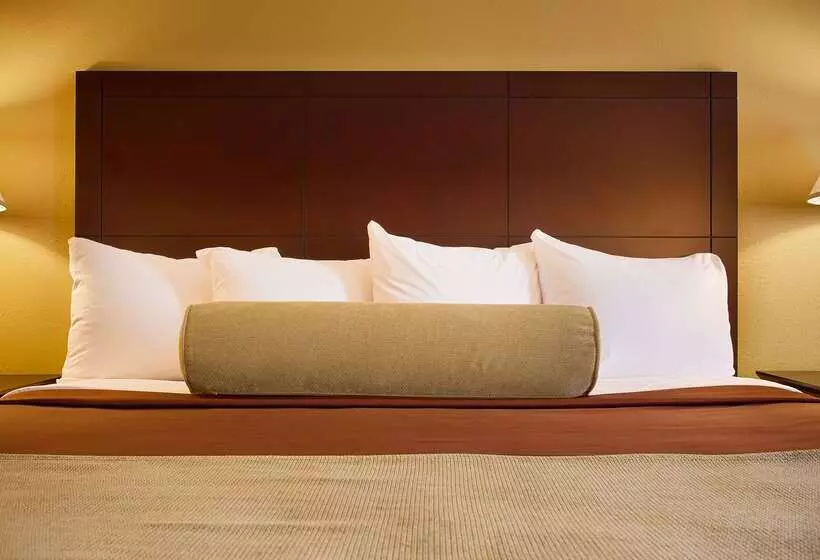 Отель Best Western Plus Executive Inn