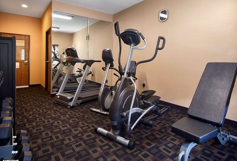 酒店 Best Western Plus Executive Inn