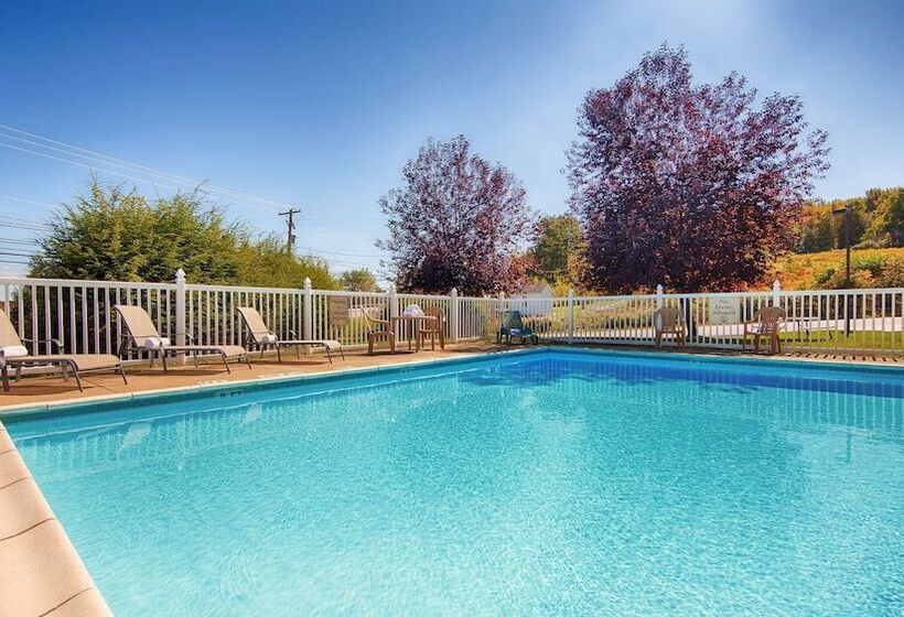 酒店 Best Western Plus Executive Inn