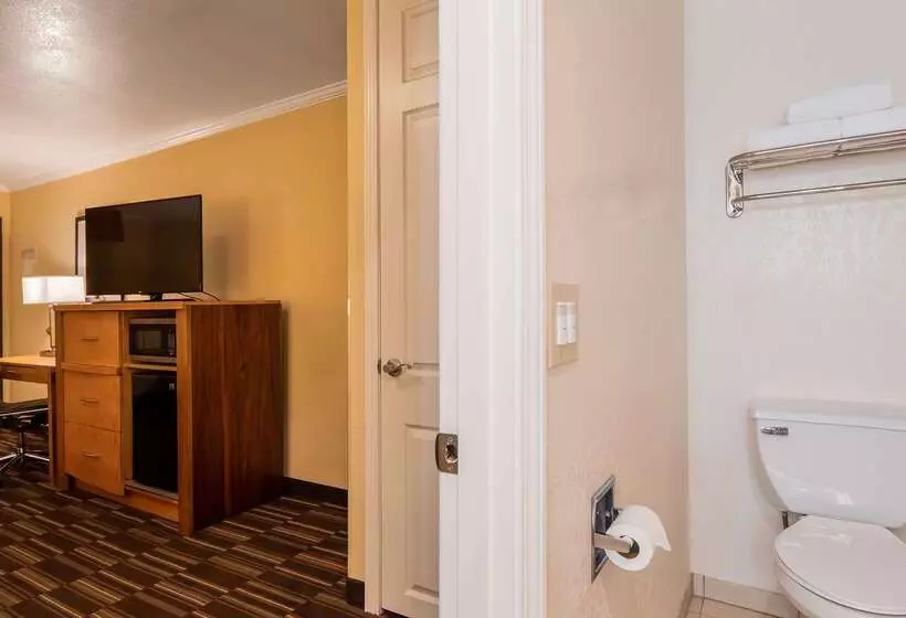 Отель Best Western Plus Ontario Airport & Convention Center