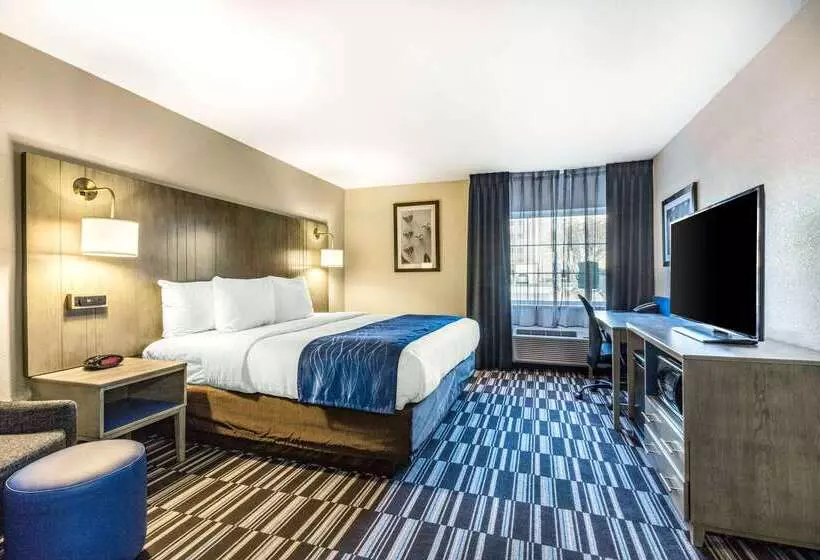 酒店 Comfort Inn Airport