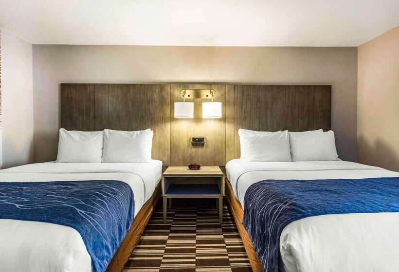 فندق Comfort Inn Airport