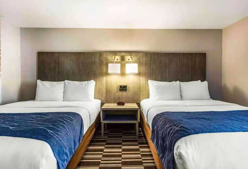 酒店 Comfort Inn Airport