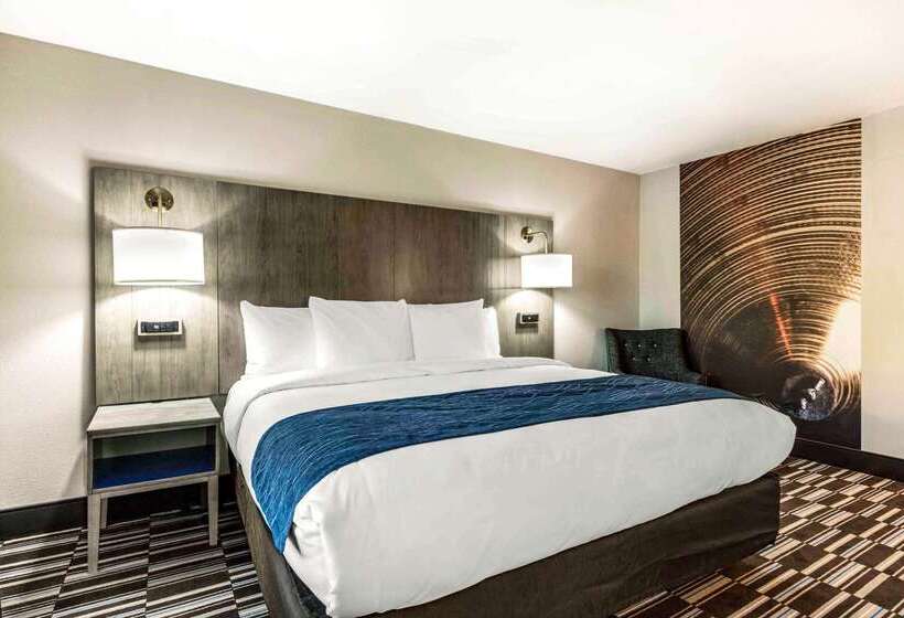 فندق Comfort Inn Airport