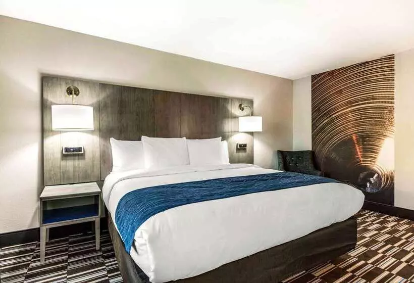 酒店 Comfort Inn Airport